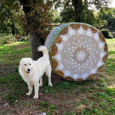 Feriegård Materiis *