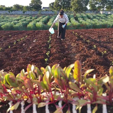 Farm stay Materiis *