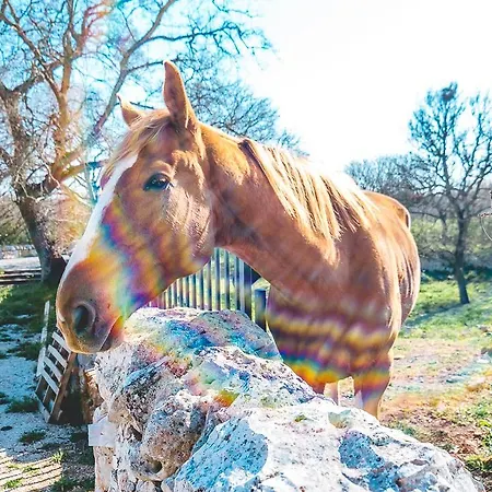 Feriegård Materiis *