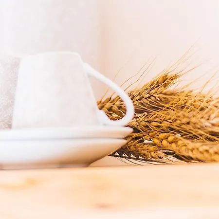 Materiis Gospodarstwo agroturystyczne