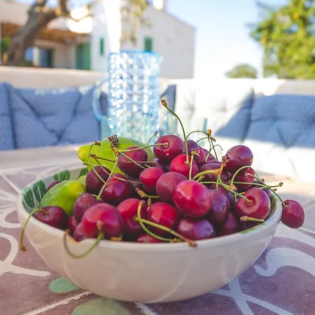 Materiis 팜스테이 노치