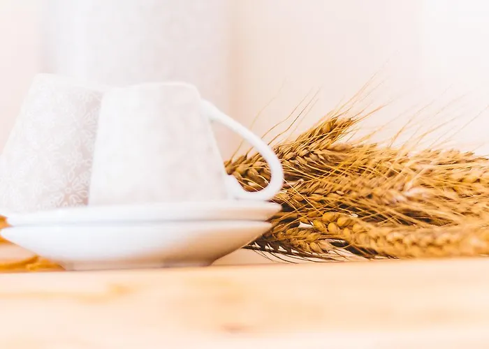 Materiis בית חווה