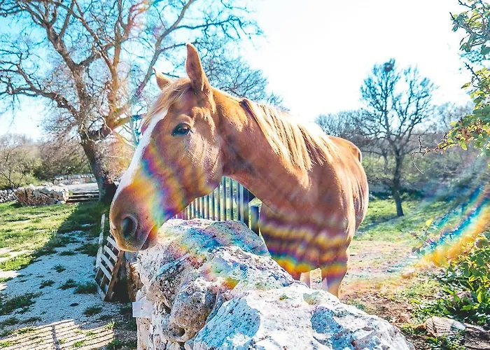 בית חווה Materiis *